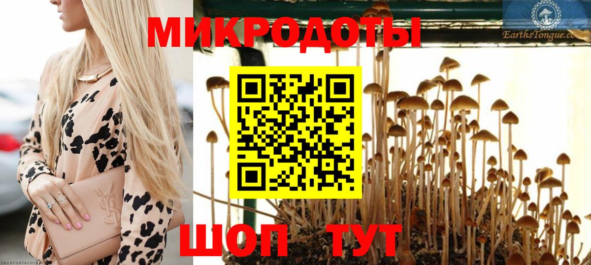 Псилоцибиновые грибы мицелий  Вход с VPN  Железногорск 